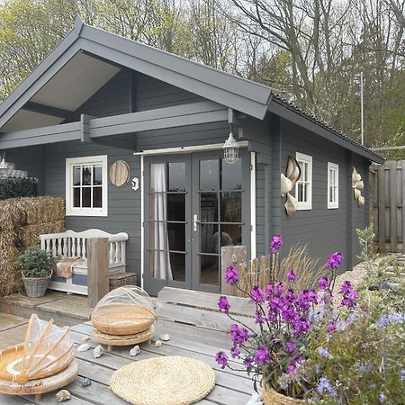 Cabin De Duinweg: Direct Aan Duin En Bos ノールトウェイク エクステリア 写真