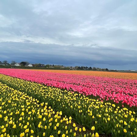 Cabin De Duinweg: Direct Aan Duin En Bos ノールトウェイク エクステリア 写真